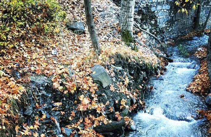  Zoshk River