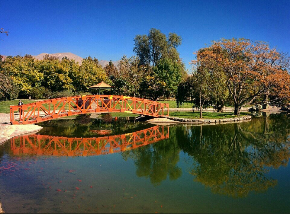  Botanical Garden