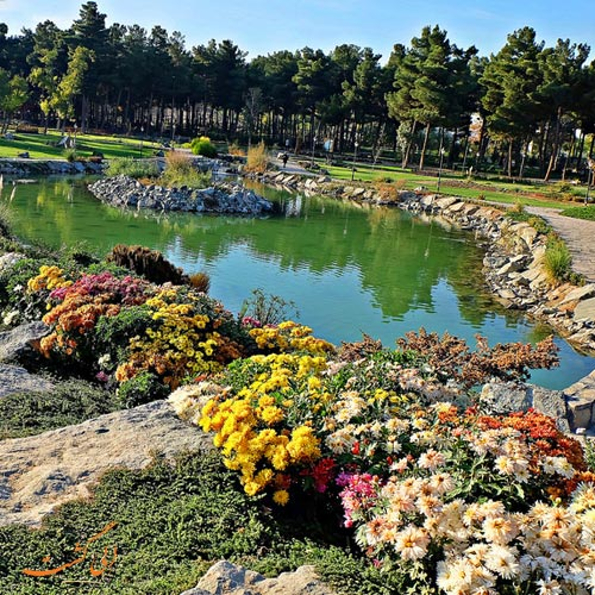  Botanical Garden