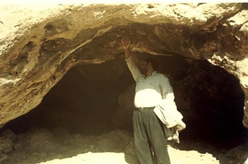 Javartan Caves Collection