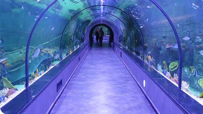  Kish Aquarium