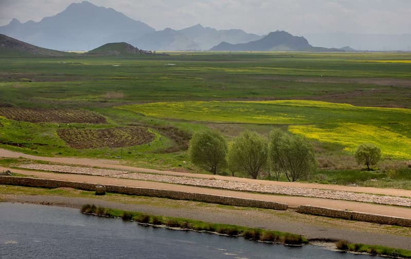 Hashilan-Wetland