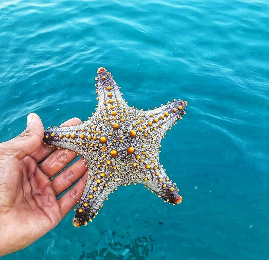 سپهرسیر