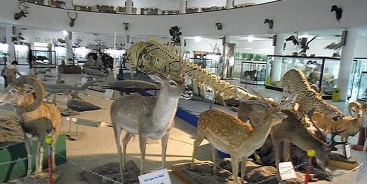 سپهرسیر
