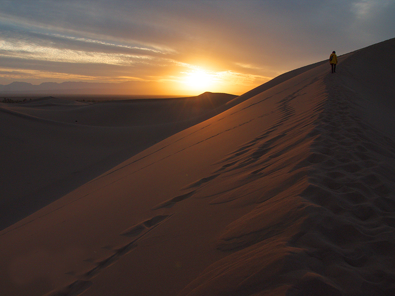 Yazd-Desert-Caracal