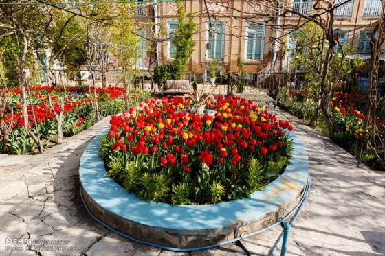  Tulip House of Tabriz-sepehrseir