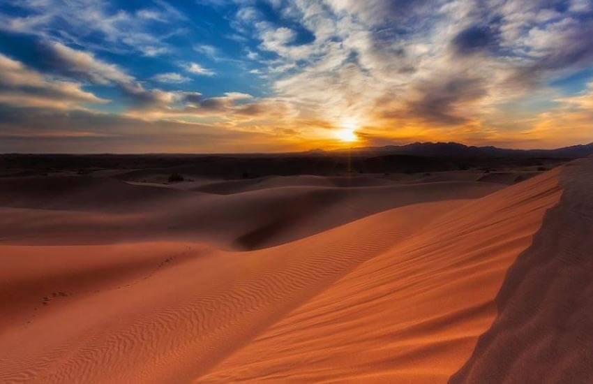 Caracal Desert.sepehr sire