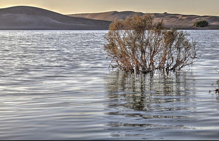 Yazd effluent wetland.sepehr seir
