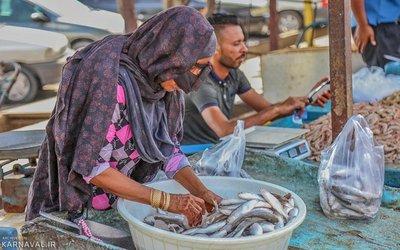 بازار ماهی فروش ها بندرعباس