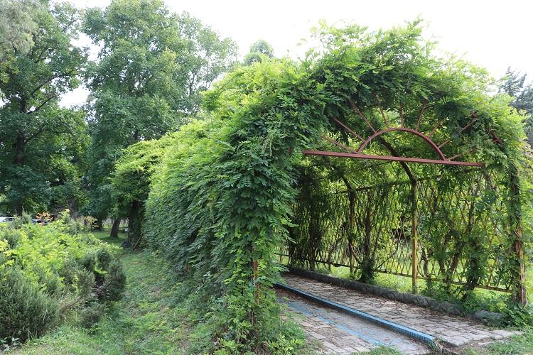 Nowshahr Botanical Garden