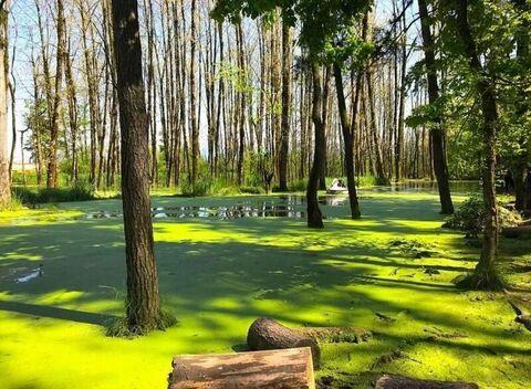 Saravan Forest-Park