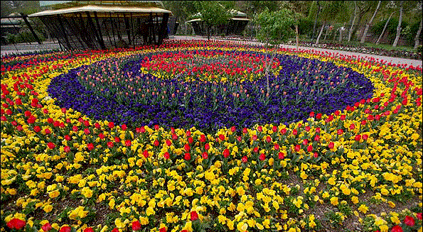 Flower Garden of Kermanshah