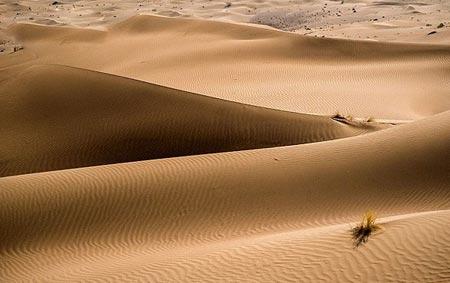 bashroye-desert