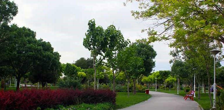 Basij Park