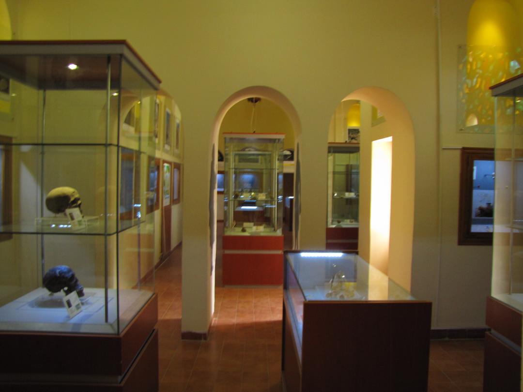 Paleolithic Museum